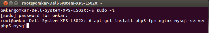 WordPress on Nginx Img11 Installing WordPress on Nginx - Screenshot 1