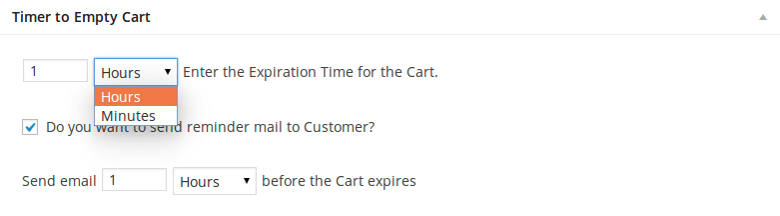 Screenshot 1 Timer to Empty WooCommerce Cart - Panel