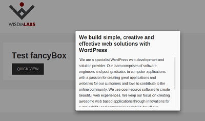 fancybox-modal-with-custom-scrollbar