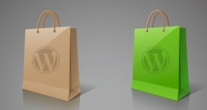 Choose WordPress Com or Org