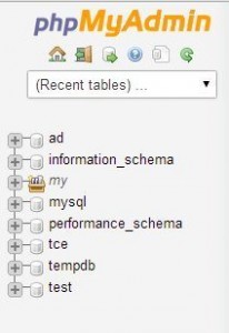 Select Database in phpMyAdmin