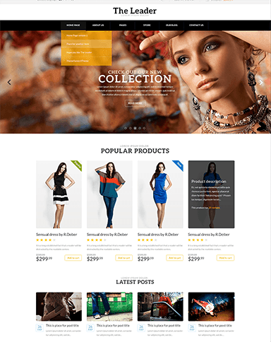 The Leader WooCommerce Theme