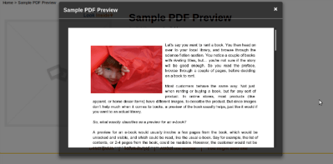 e-book-preview-wordpress