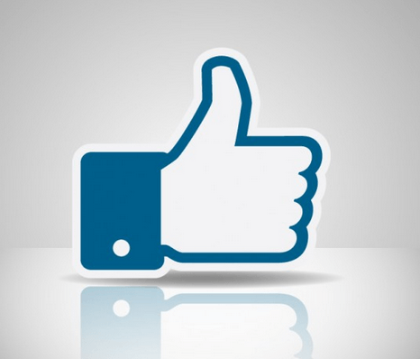 social-network-wordpress