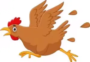 vecteezy scared funny cartoon chicken running vecteezy_scared-funny-cartoon-chicken-running