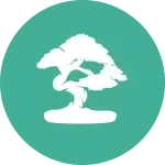 sensei-icon