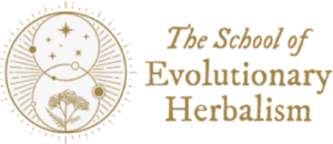 evolutionary herbalism